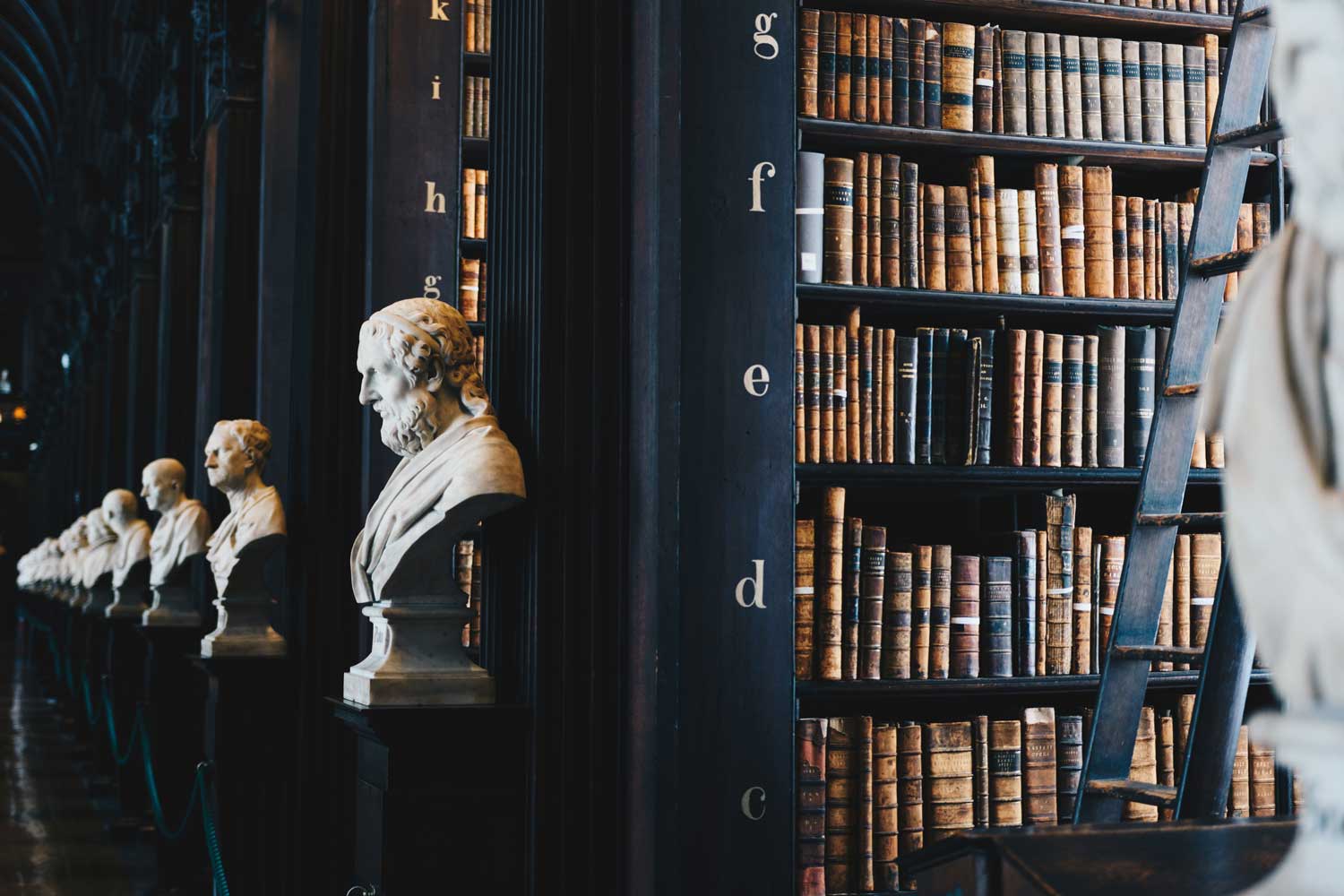 Rows of bookshelves filled with books are met with a bust at each bookshelf's end